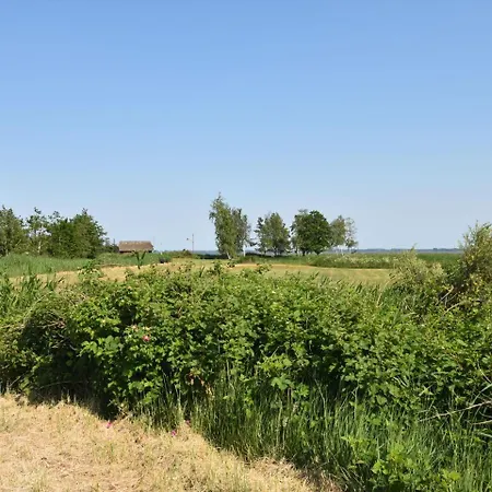 Cozy Niehagen Germany With A Beautiful Terrace Appartement Wustrow (Fischland)